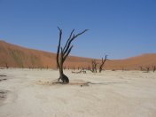 Death Valley