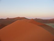 Dune 45